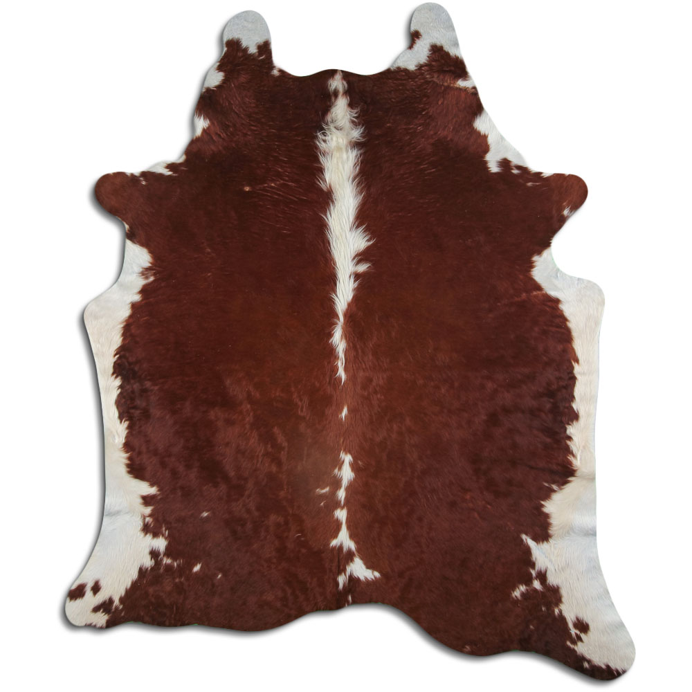 Hereford 3 - 4 M Classe B