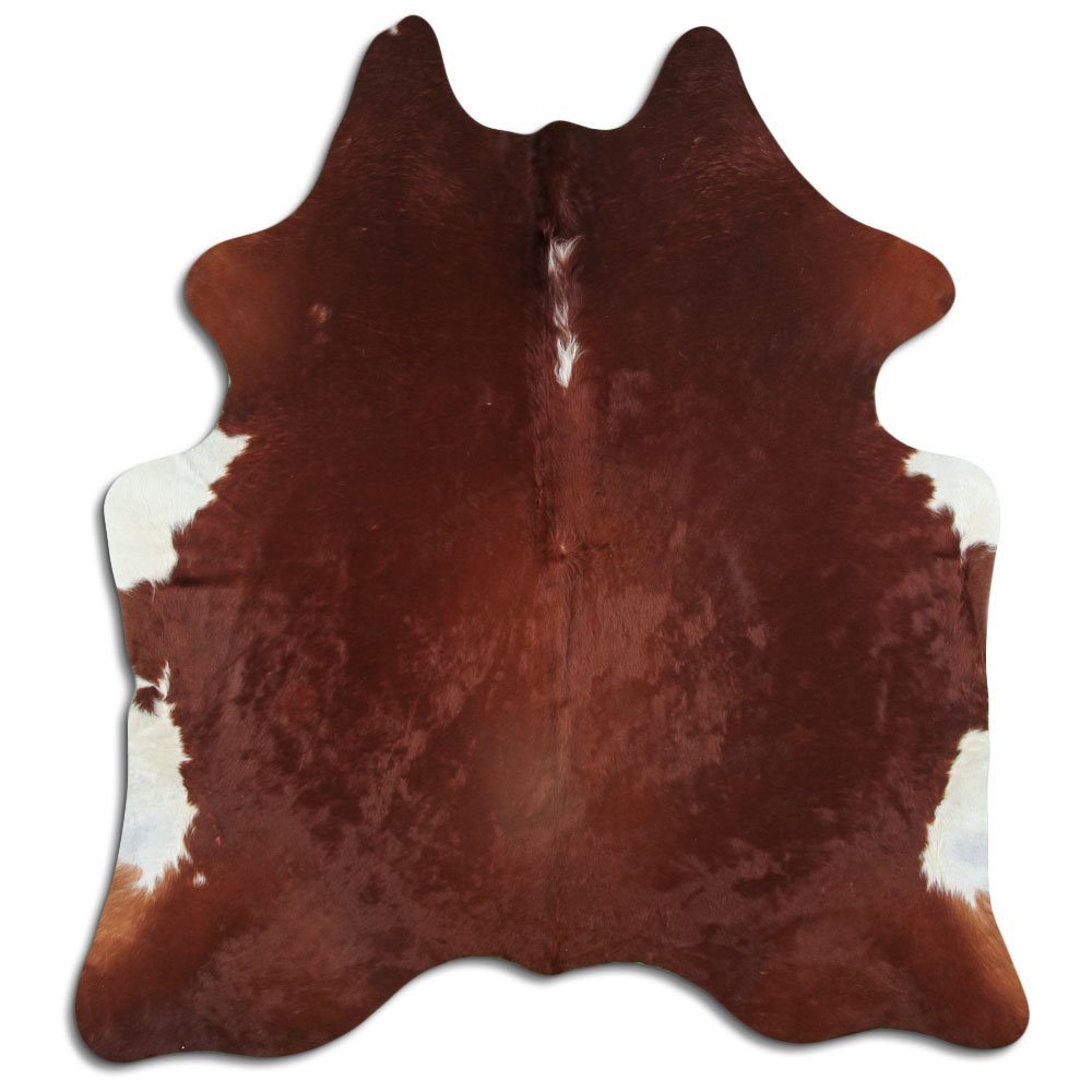 Hereford 3 - 4 M Classe B