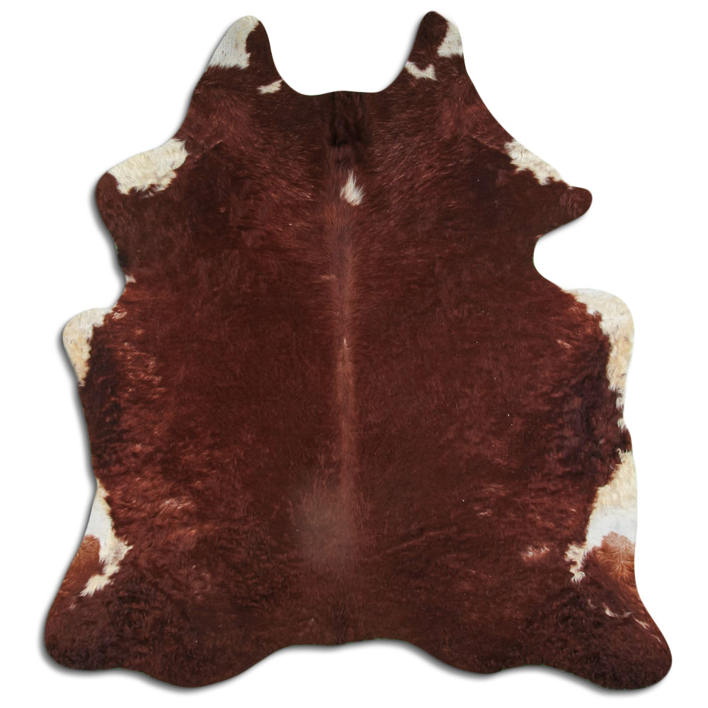 Hereford 3 - 4 M Classe B