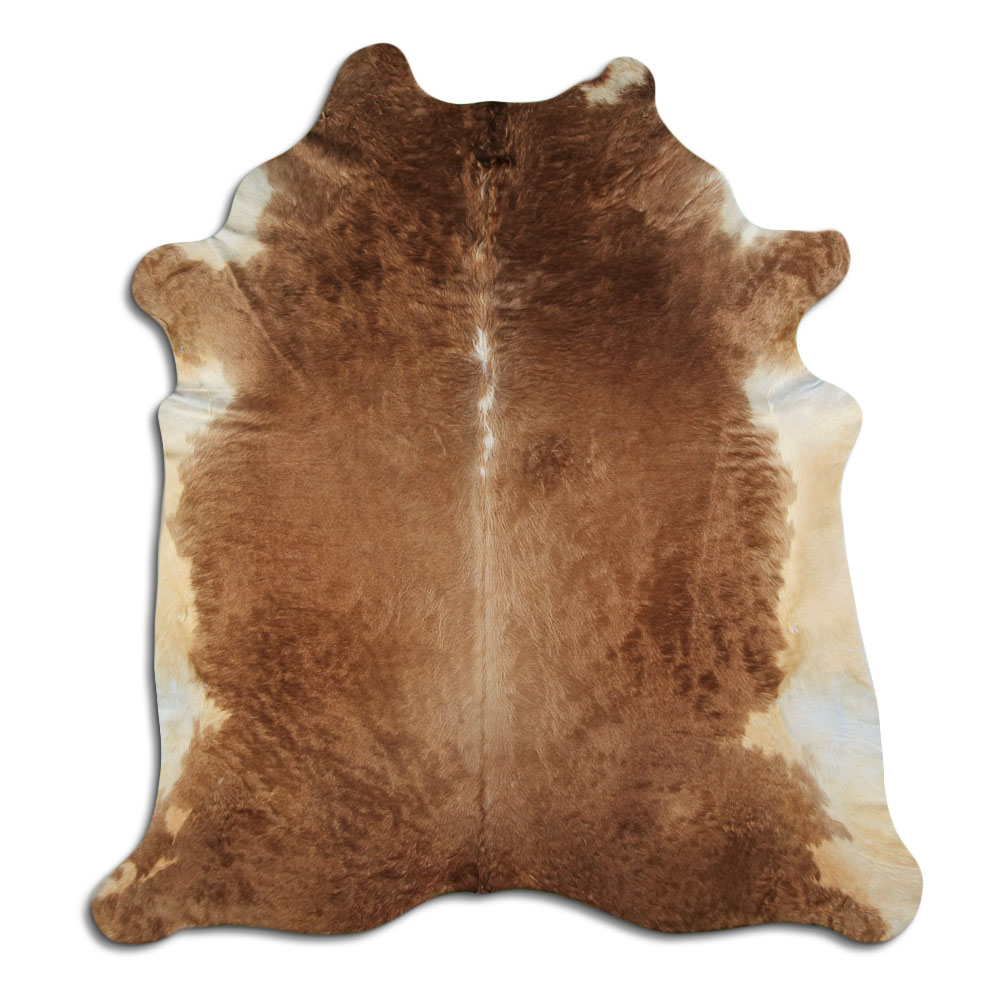 Hereford 3 - 4 M Classe B