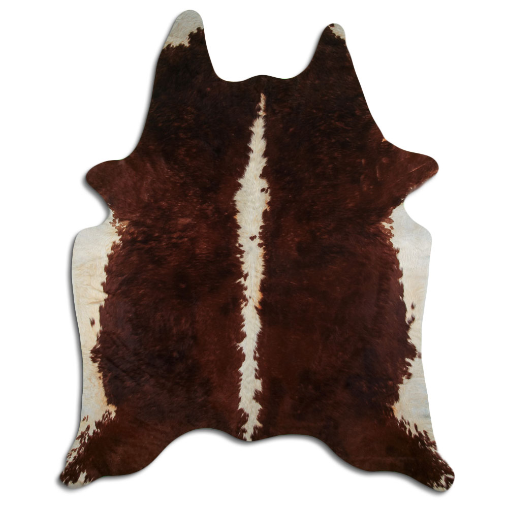 Hereford 3 - 4 M Classe B