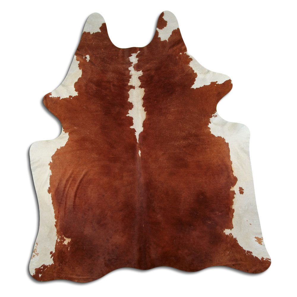 Hereford 3 - 4 M Classe B