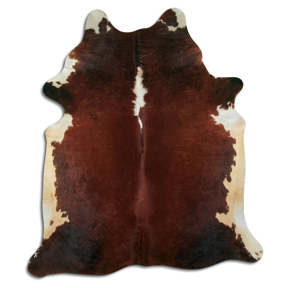 Hereford 3 - 4 M Classe B