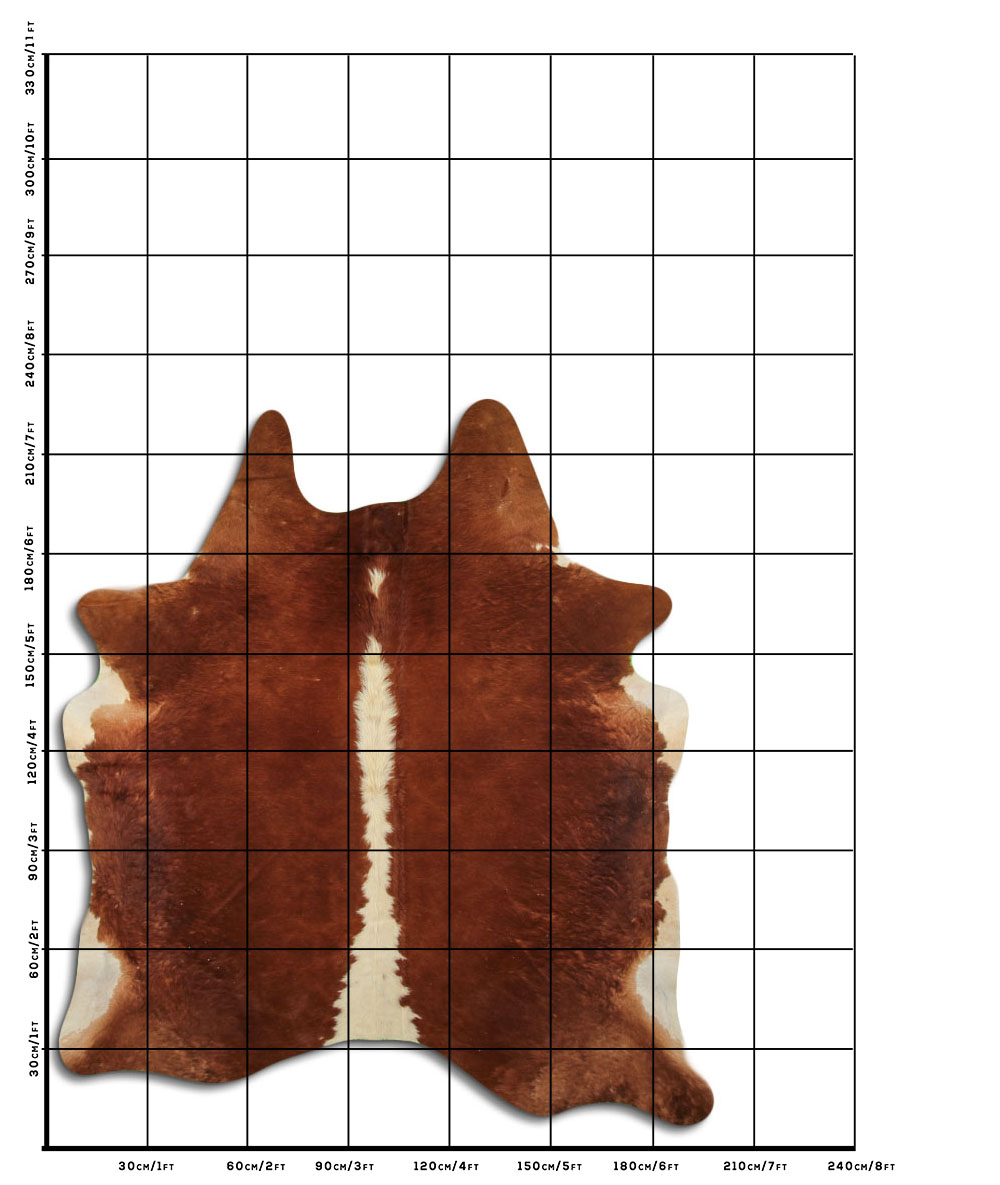 Hereford 3 - 4 M Classe B