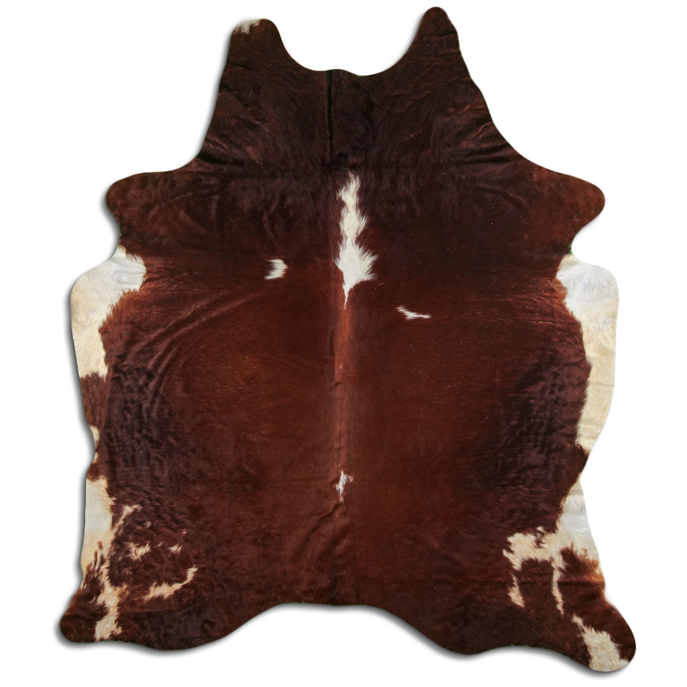 Hereford 3 - 4 M Classe B