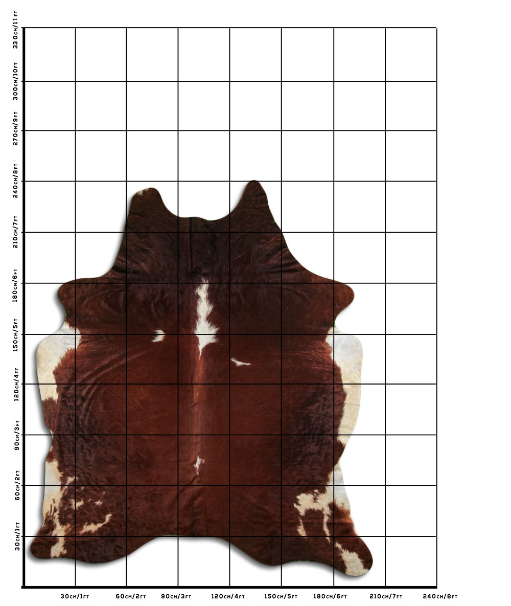 Hereford 3 - 4 M Classe B Hereford 3 - 4 M Classe B