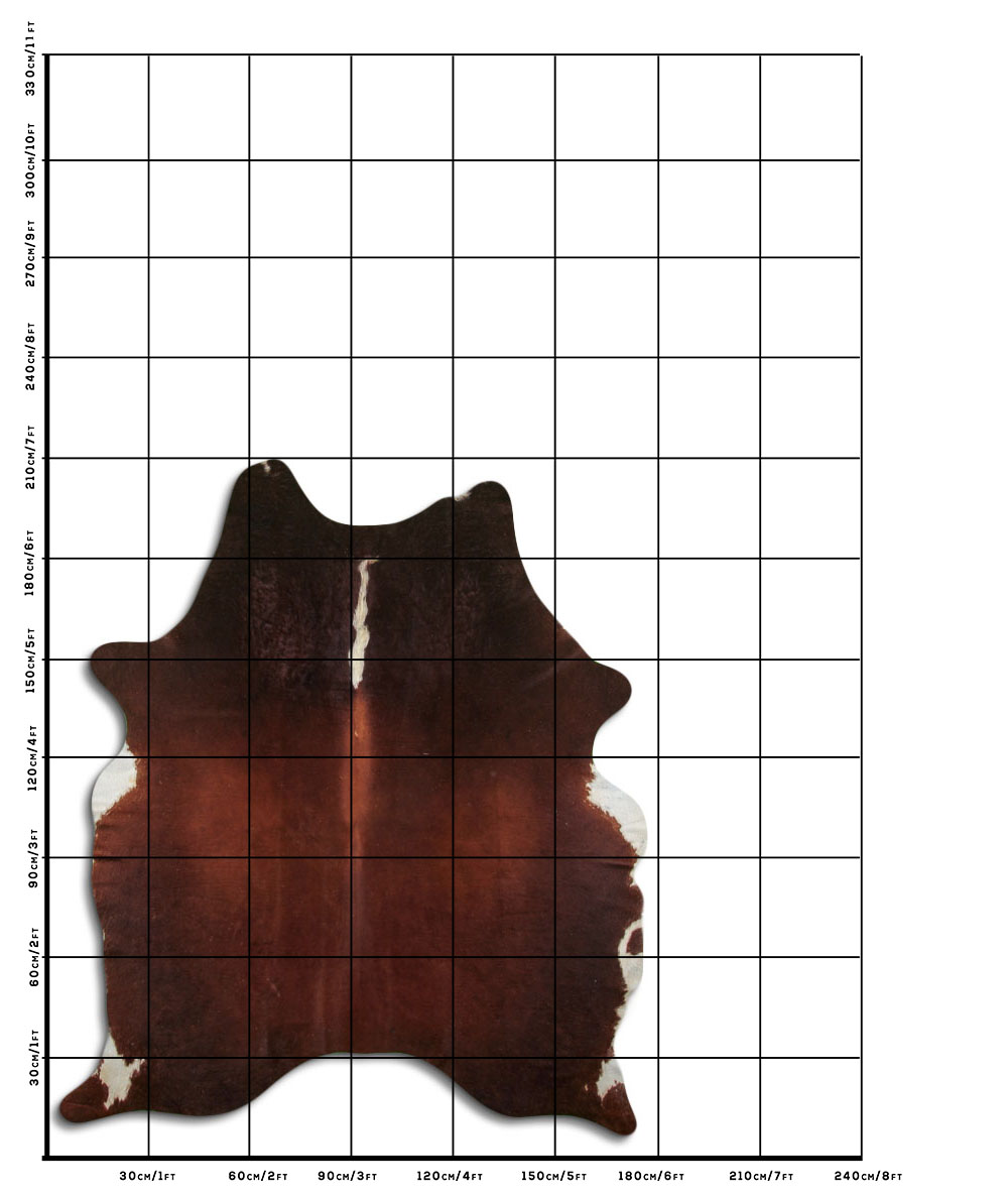 Hereford 3 - 4 M Classe B Hereford 3 - 4 M Classe B