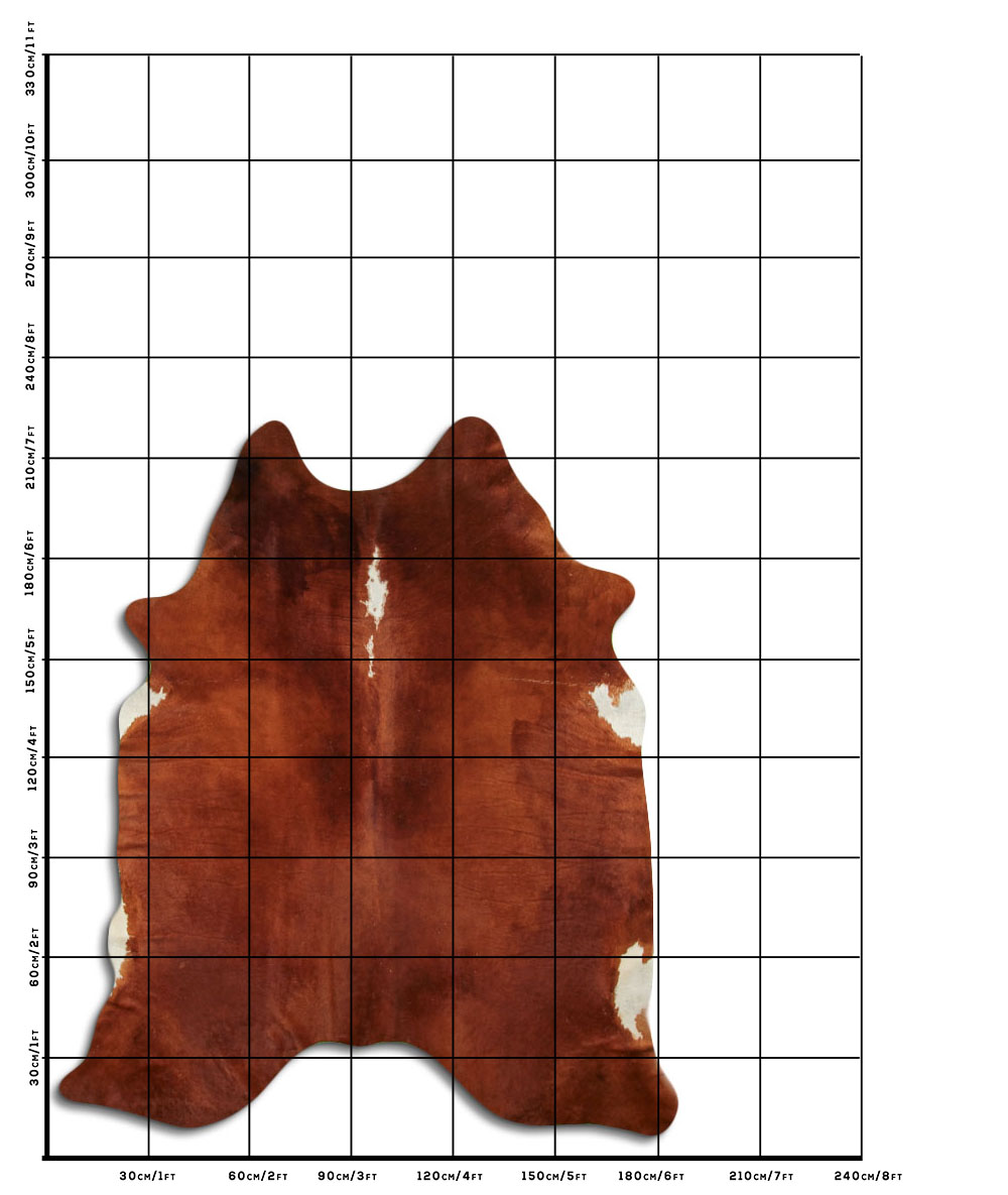 Hereford 3 - 4 M Classe B Hereford 3 - 4 M Classe B