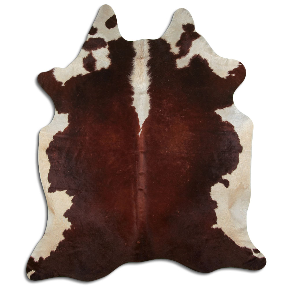 Hereford 3 - 4 M Classe B