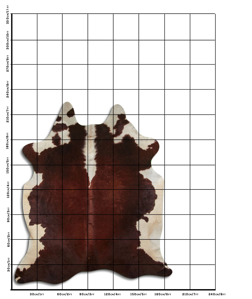 Hereford 3 - 4 M Classe B