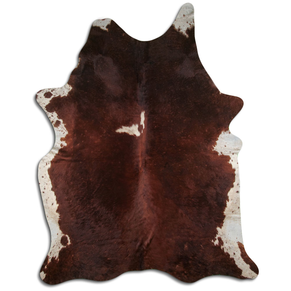 Hereford 3 - 4 M Classe B