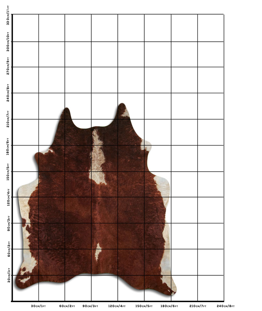 Hereford 3 - 4 M Classe B Hereford 3 - 4 M Classe B