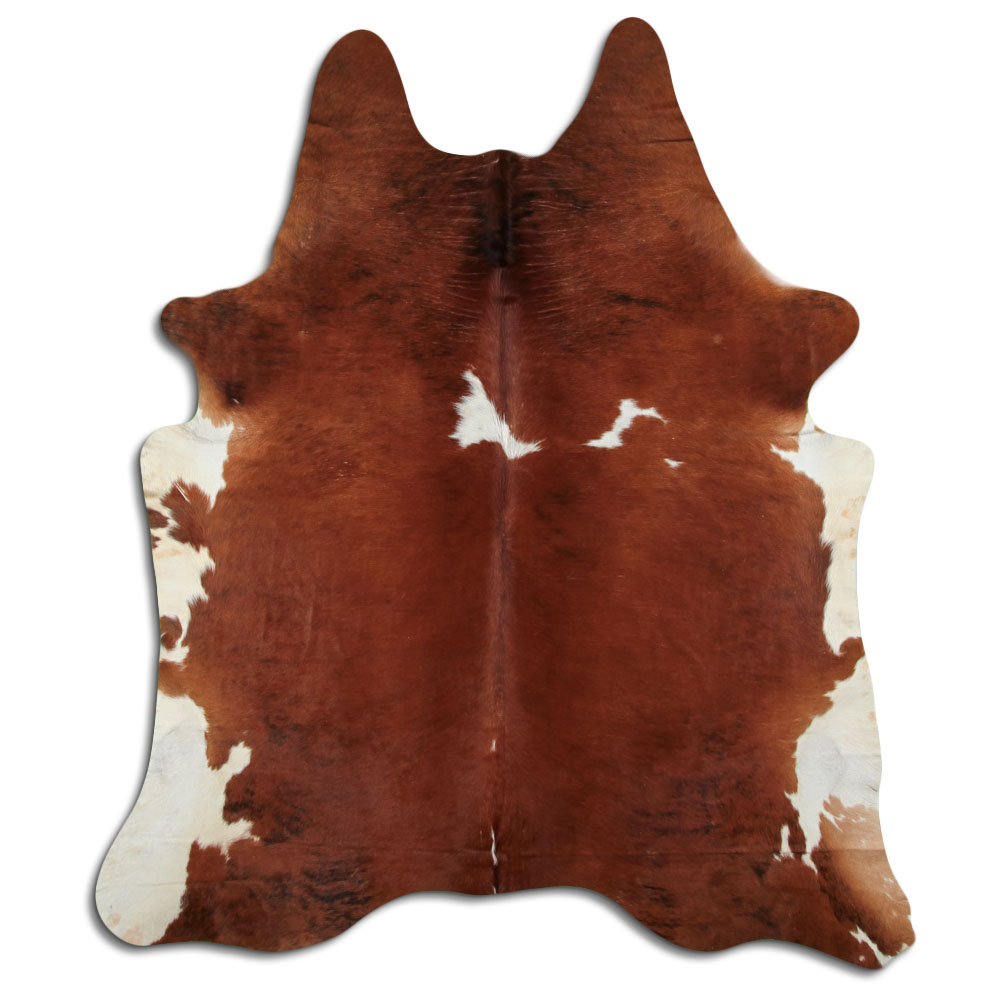 Hereford 3 - 4 M Classe B