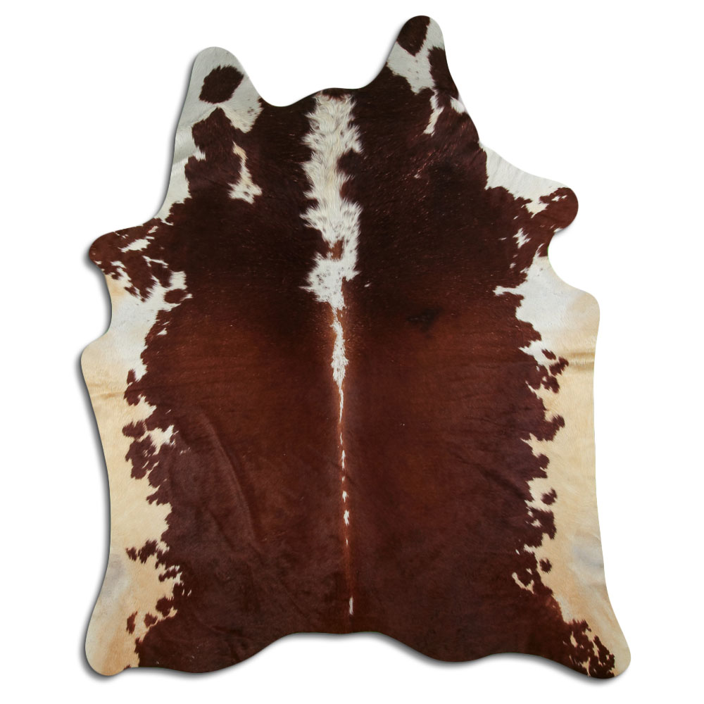 Hereford 3 - 4 M Classe B