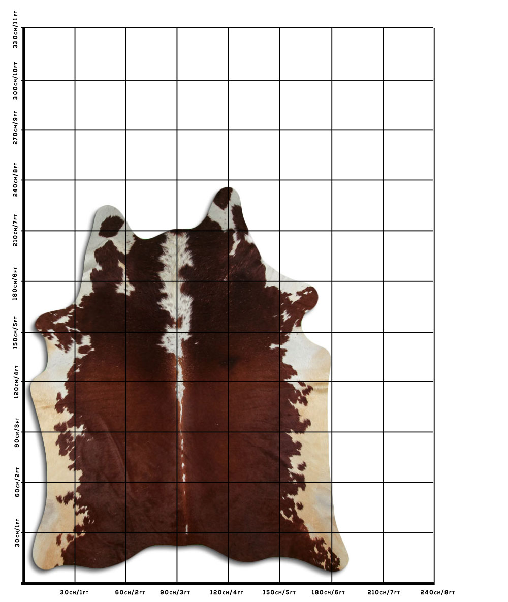 Hereford 3 - 4 M Classe B Hereford 3 - 4 M Classe B