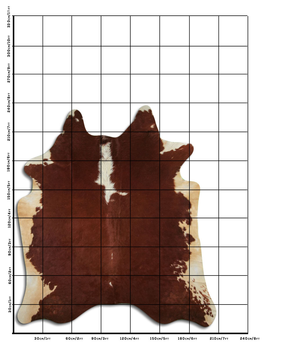 Hereford 3 - 4 M Classe B Hereford 3 - 4 M Classe B