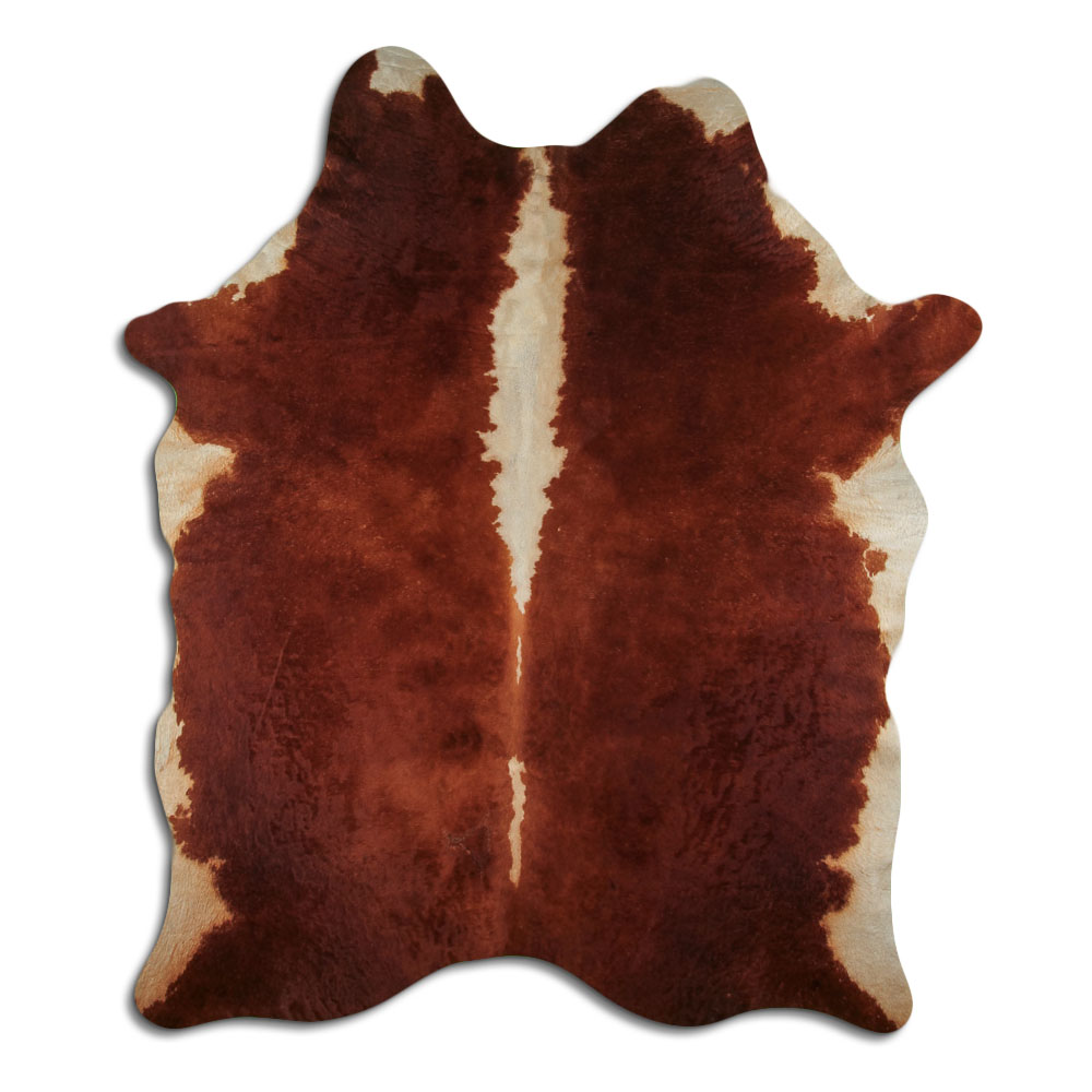 Hereford 3 - 4 M Sortierung B