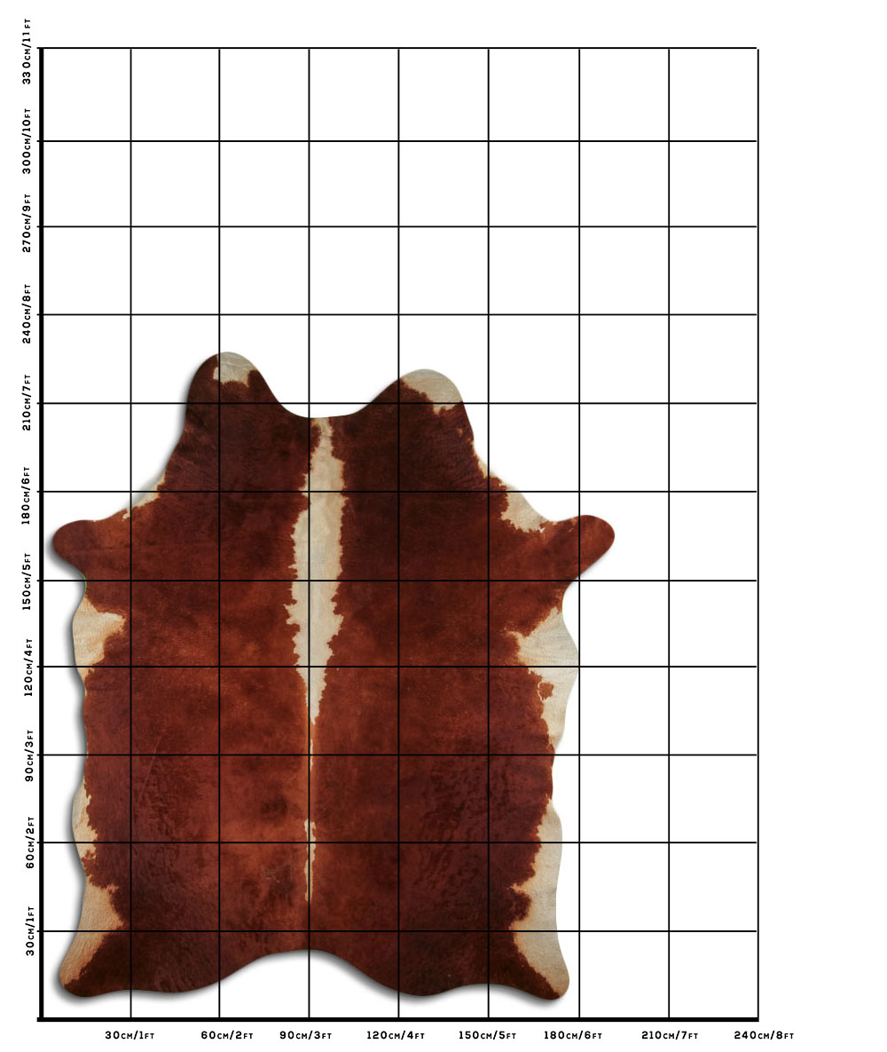 Hereford 3 - 4 M Classe B Hereford 3 - 4 M Classe B