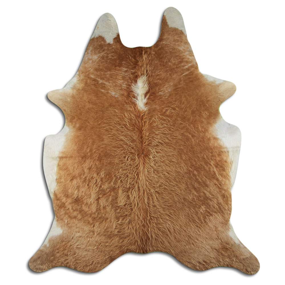 Hereford 3 - 4 M Classe B