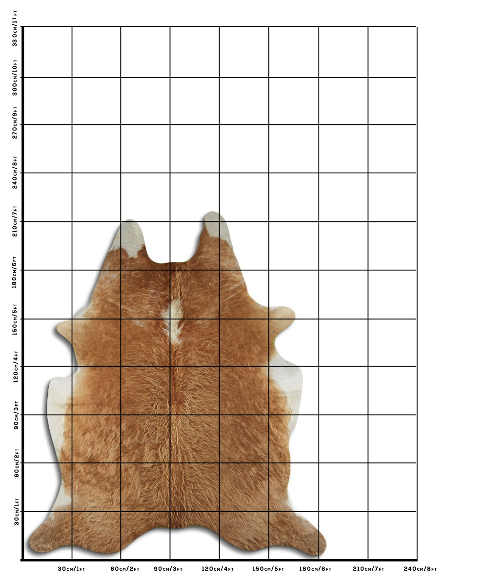 Hereford 3 - 4 M Classe B