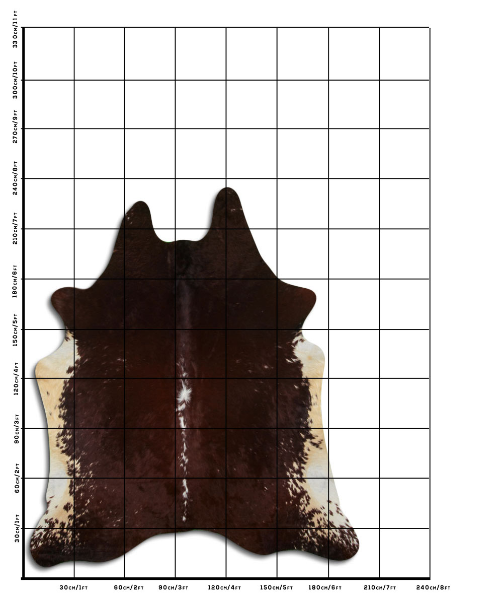 Hereford 3 - 4 M Classe B