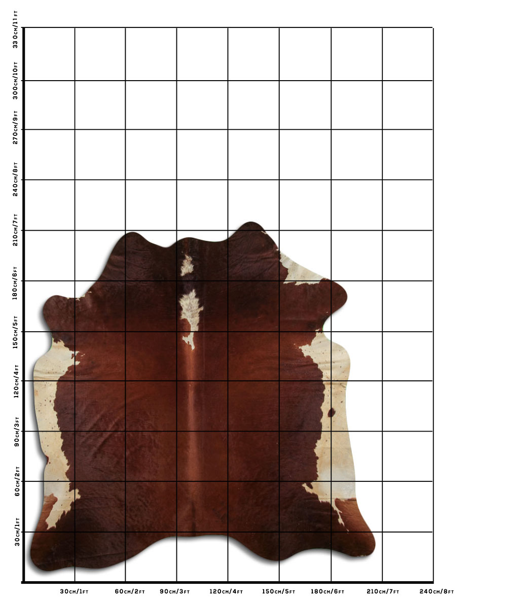 Hereford 3 - 4 M Classe B