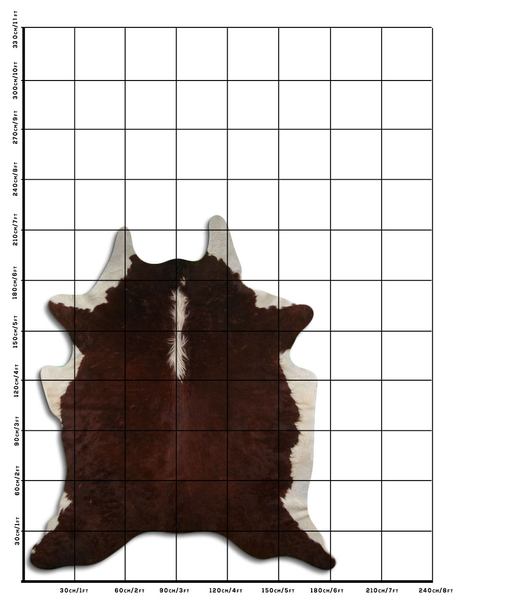 Hereford 3 - 4 M Classe B Hereford 3 - 4 M Classe B