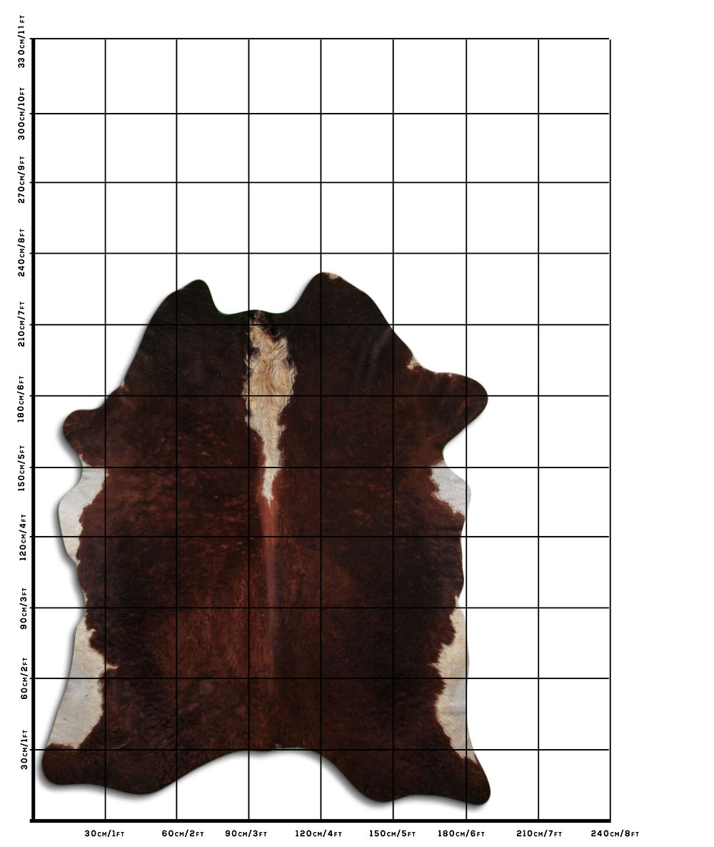 Hereford 3 - 4 M Classe B Hereford 3 - 4 M Classe B