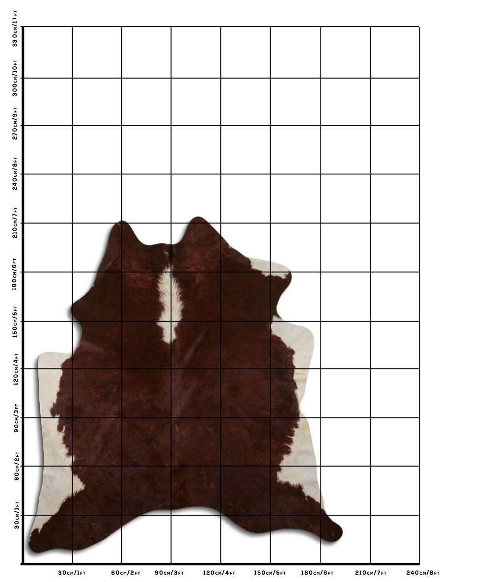 Hereford 3 - 4 M Classe B Hereford 3 - 4 M Classe B