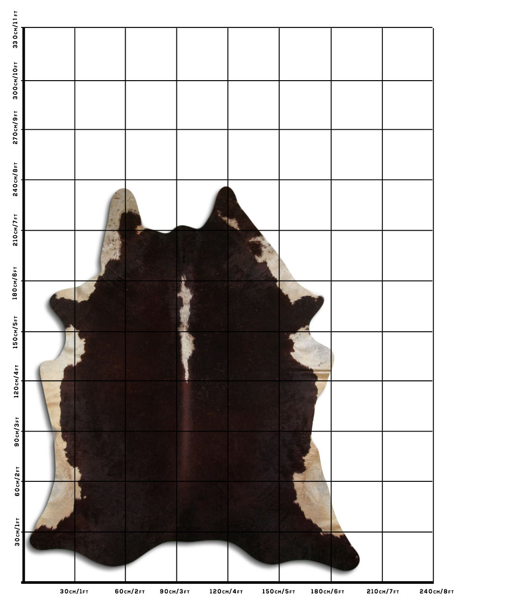 Hereford 3 - 4 M Classe B