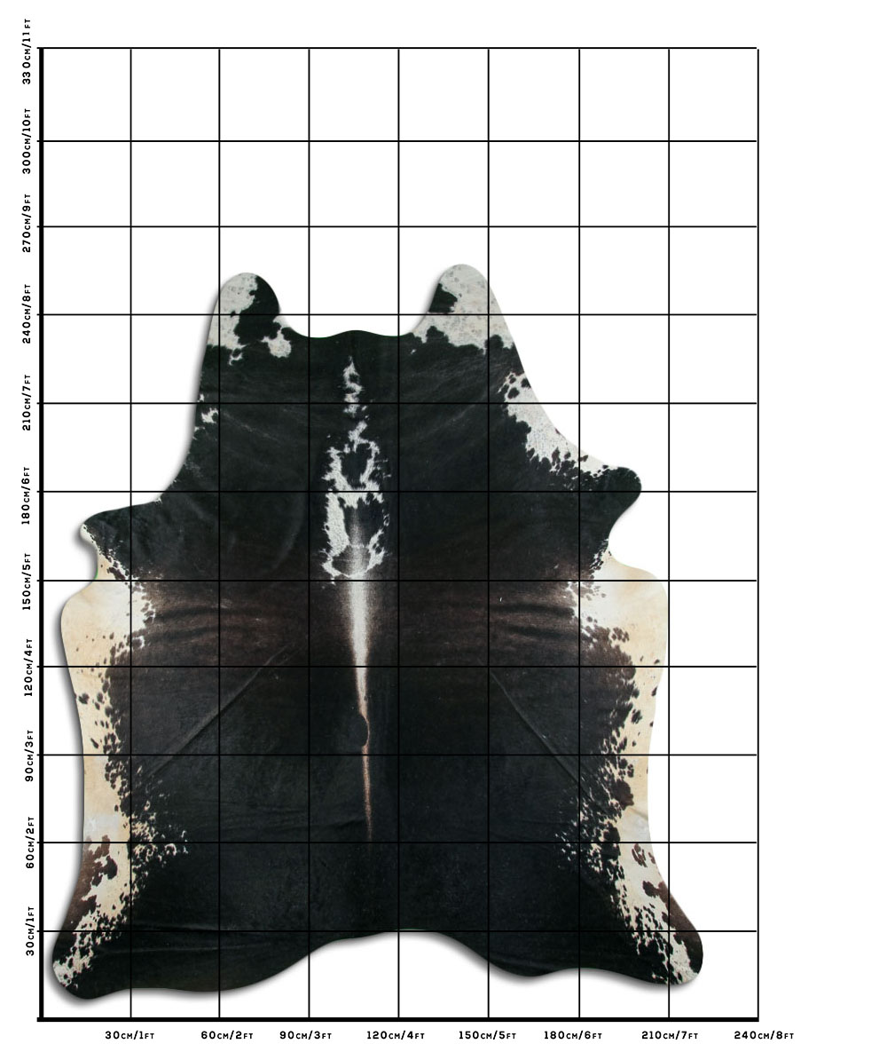 Hereford 3 - 4 M Classe B Hereford 3 - 4 M Classe B