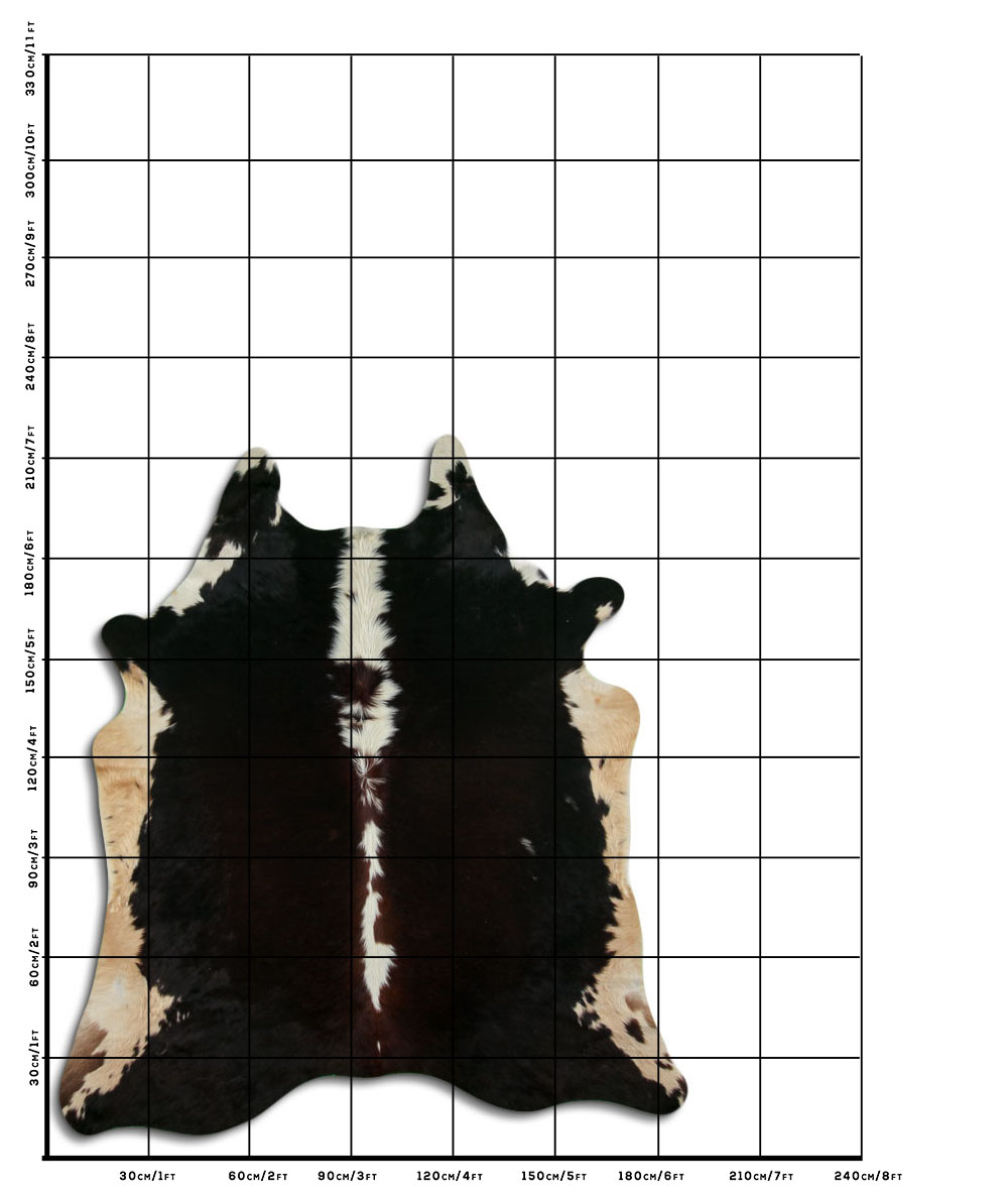 Hereford 3 - 4 M Classe B Hereford 3 - 4 M Classe B