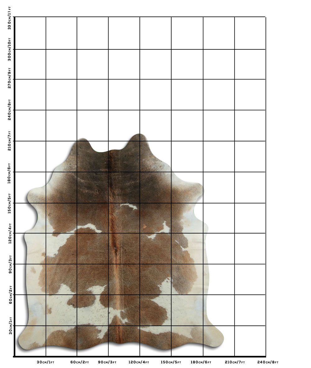 Marrom e Branco 3 - 4 M Classe A