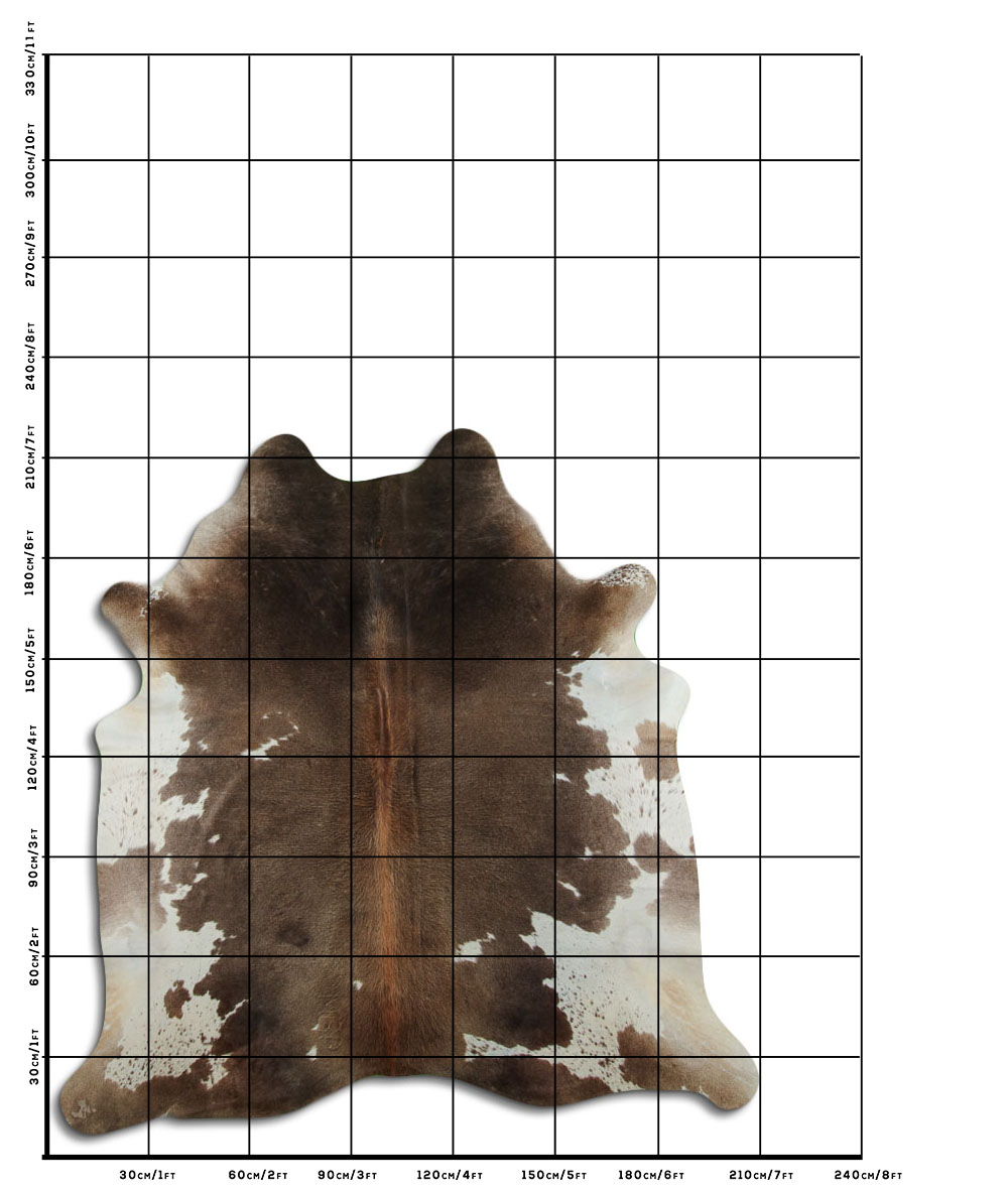 Marrom e Branco 3 - 4 M Classe A