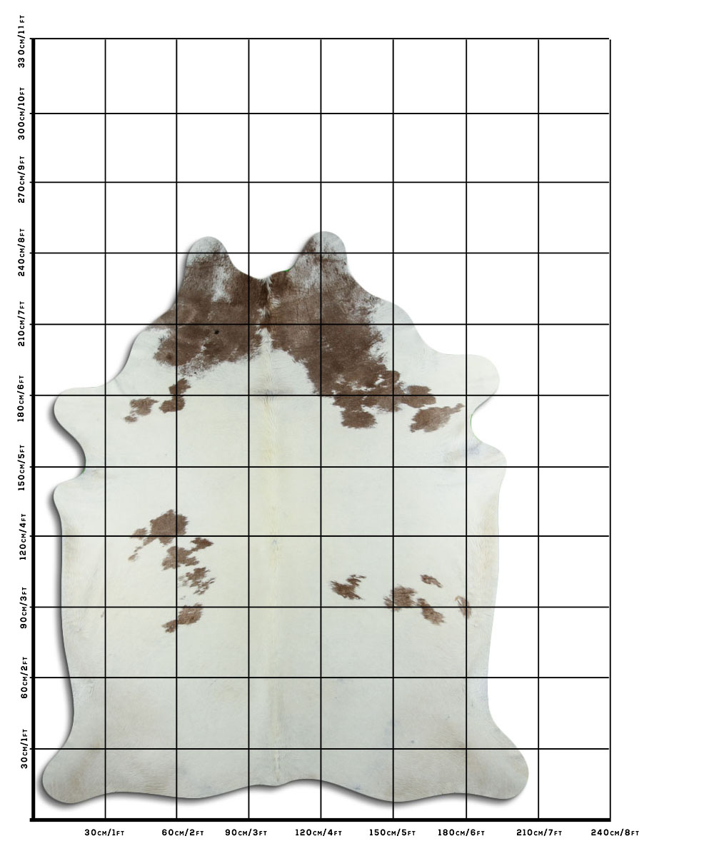 Marrom e Branco 3 - 4 M Classe A