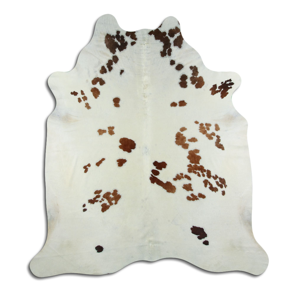 Marrom e Branco 3 - 4 M Classe B