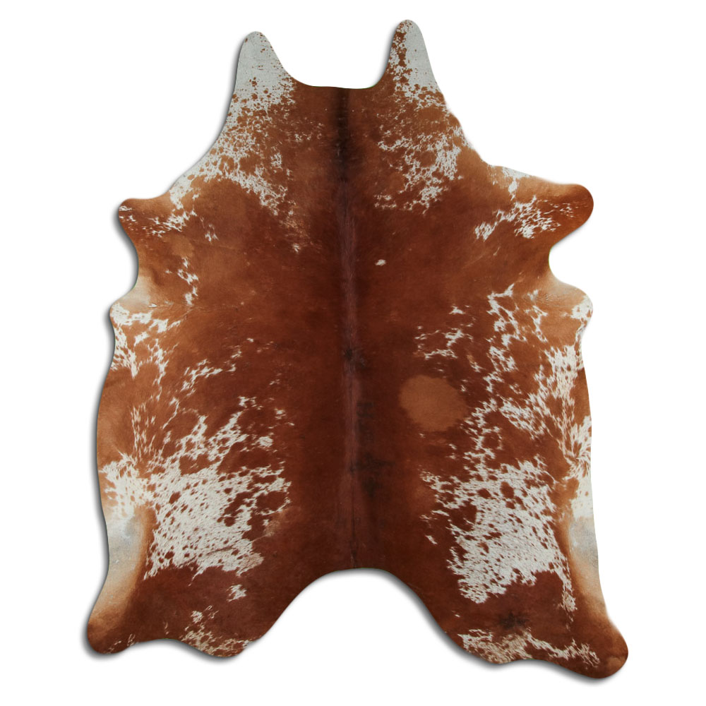 Marrom e Branco 3 - 4 M Classe B