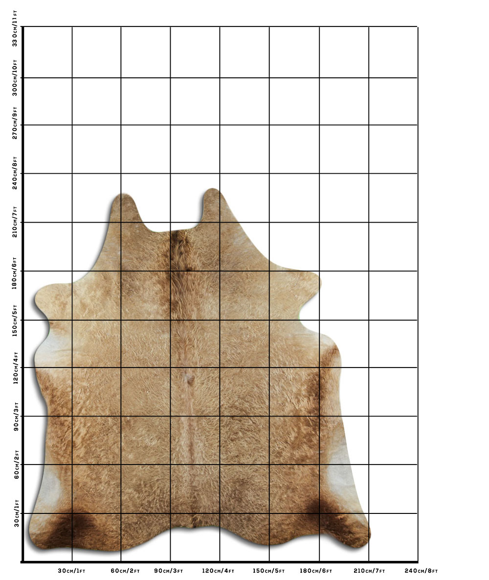 Champanhe Claro 3 - 4 M Classe A