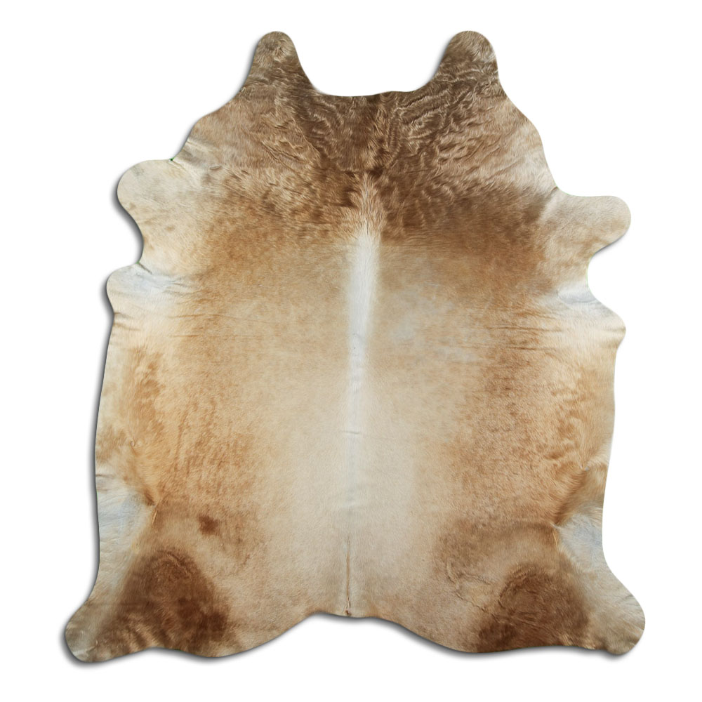 Champanhe Claro 3 - 4 M Classe A