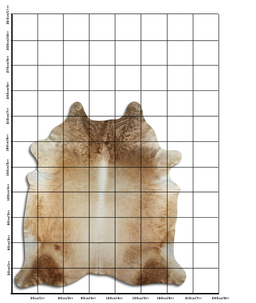 Champanhe Claro 3 - 4 M Classe A Champanhe Claro 3 - 4 M Classe A