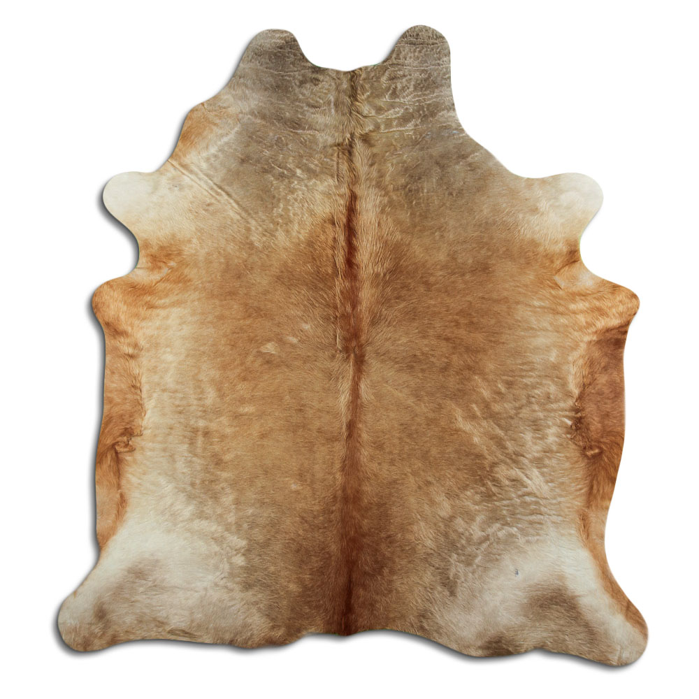 Champan Claro 3 - 4 M Clase B