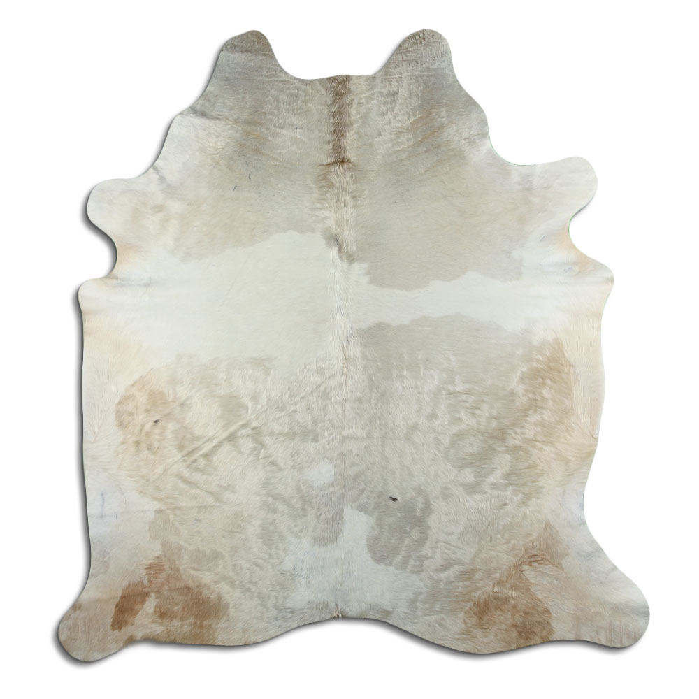 Champan Claro 3 - 4 M Clase B