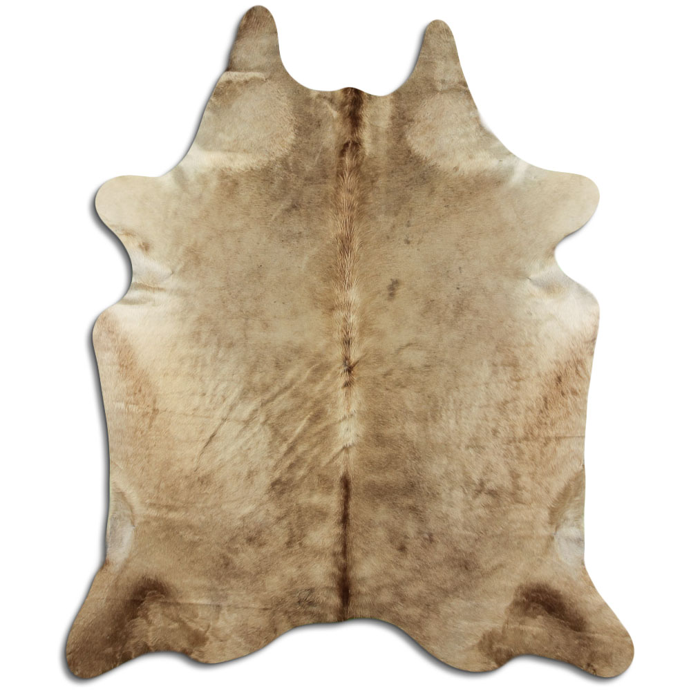 Champanhe Claro 3 - 4 M Classe B