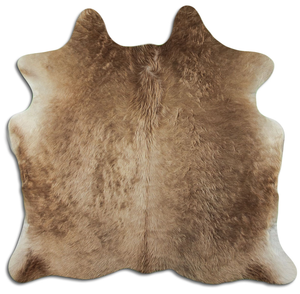 Champan Oscuro 1 - 2 M Clase A