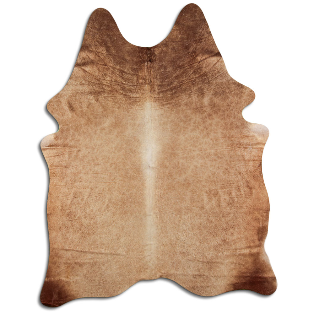 Dark Champagne 2 - 3 M Grade A