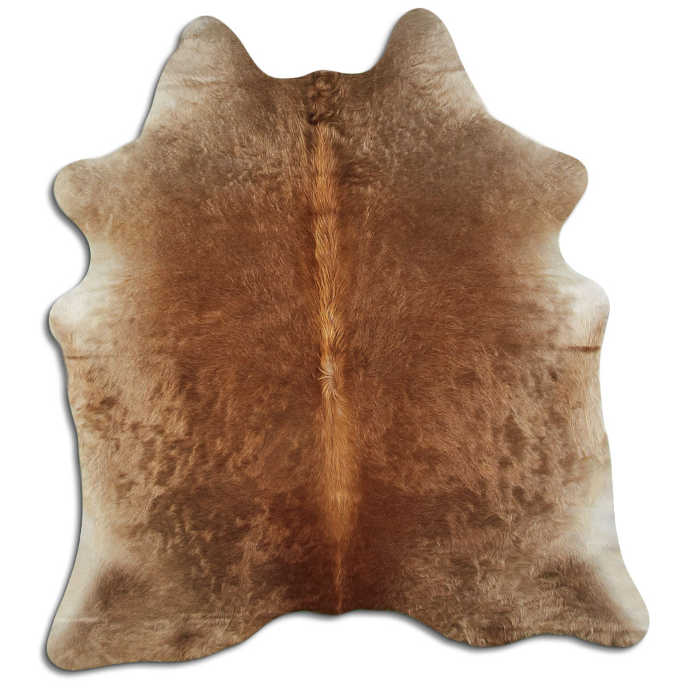 Dark Champagne 2 - 3 M Grade A