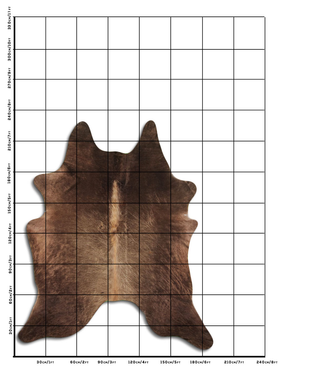 Champanhe Escuro 2 - 3 M Classe A Champanhe Escuro 2 - 3 M Classe A