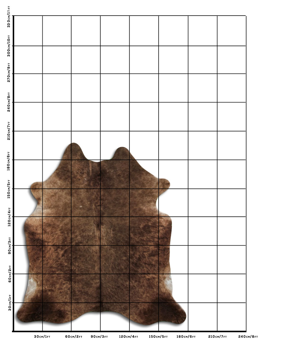 Champanhe Escuro 2 - 3 M Classe A