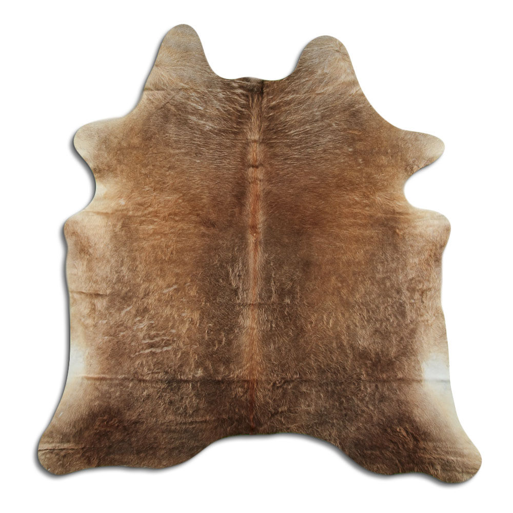 Dark Champagne 2 - 3 M Grade A