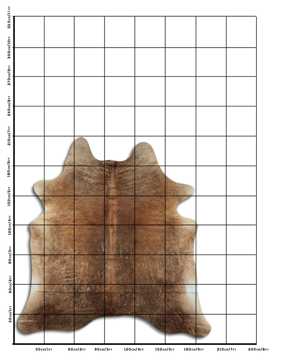 Champanhe Escuro 2 - 3 M Classe A Champanhe Escuro 2 - 3 M Classe A